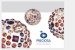 Preciosa – HYT Colours – banner