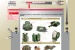 SPM – web